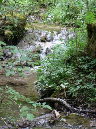 Vodeni tokovi_2008_008